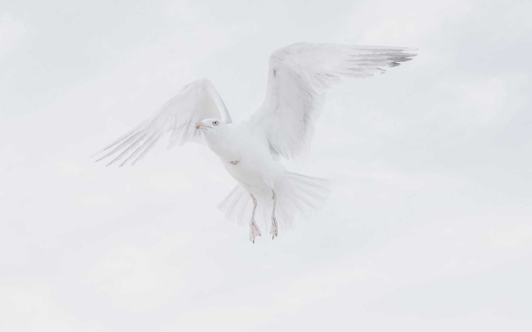 Day 9 – A Peace That Passes Our Understanding