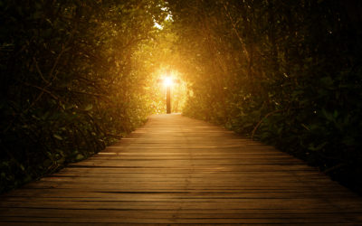 Day 1-Begin the journey to the Cross