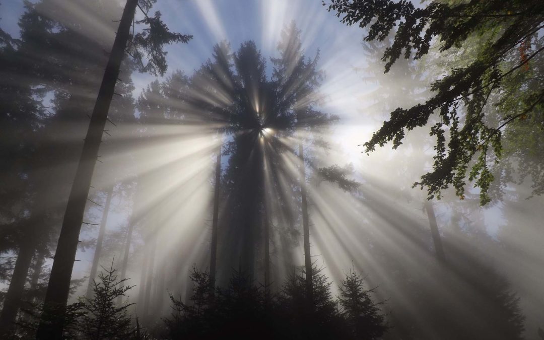 Day 31-His Glory Shines through Us